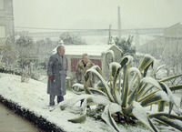 Negativos do Fotógrafo Carlos Alonso Martínez (Fotsca) (1987)